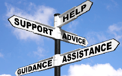 Essay Writing: Essay Structure
